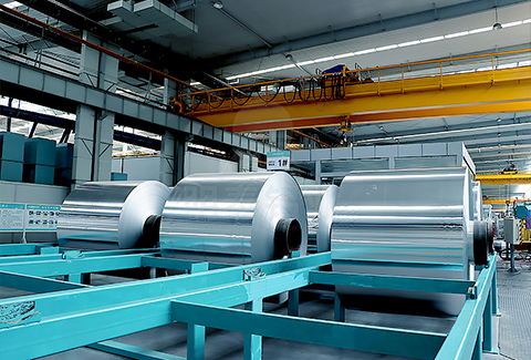 3105免费看黄软件