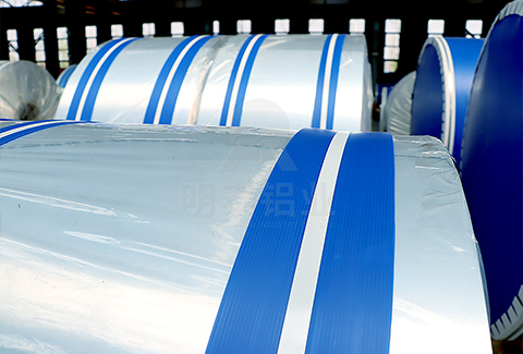 5052免费看黄软件